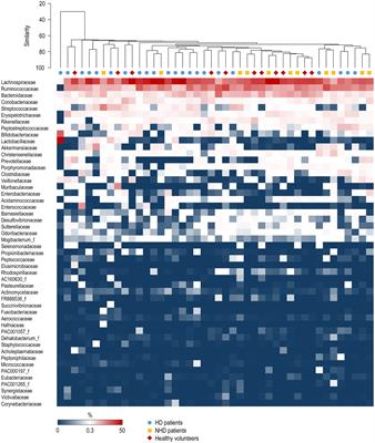 Gut microbiota associations with chronic kidney disease: insights into nutritional and inflammatory parameters